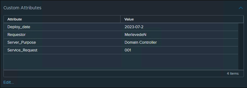 VM Custom Attributes with Value